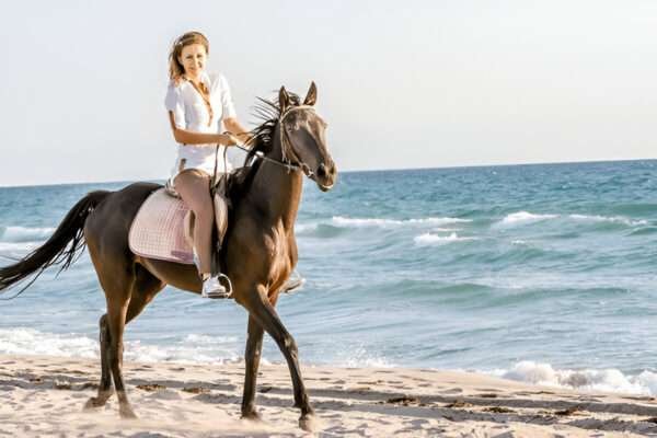 horse ride on the beach