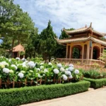 Buddhist